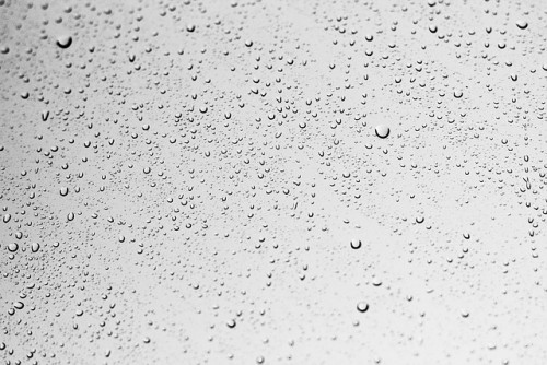 冬の雨の日ディズニーランドベビーカー対策