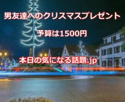 男友達へのクリスマスプレゼント1500円