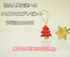 社会人男友達クリスマスプレゼント1000円