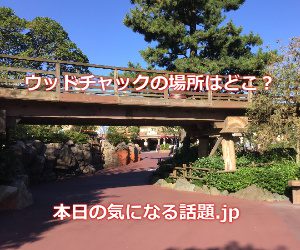 ウッドチャックデイジーの場所