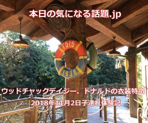 ウッドチャックデイジードナルドの衣装特徴